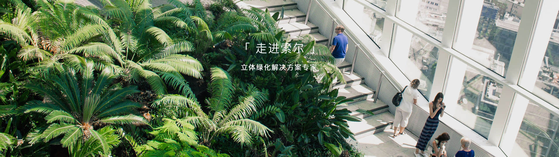 走進索爾